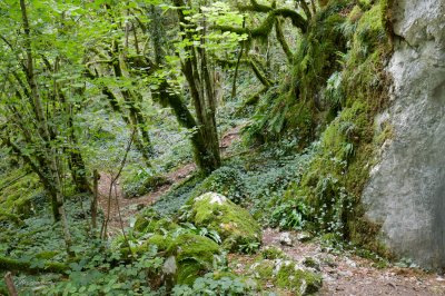 Cascade Glandieu